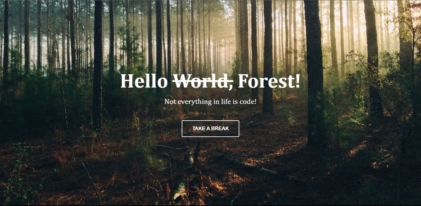 Página Flexbox